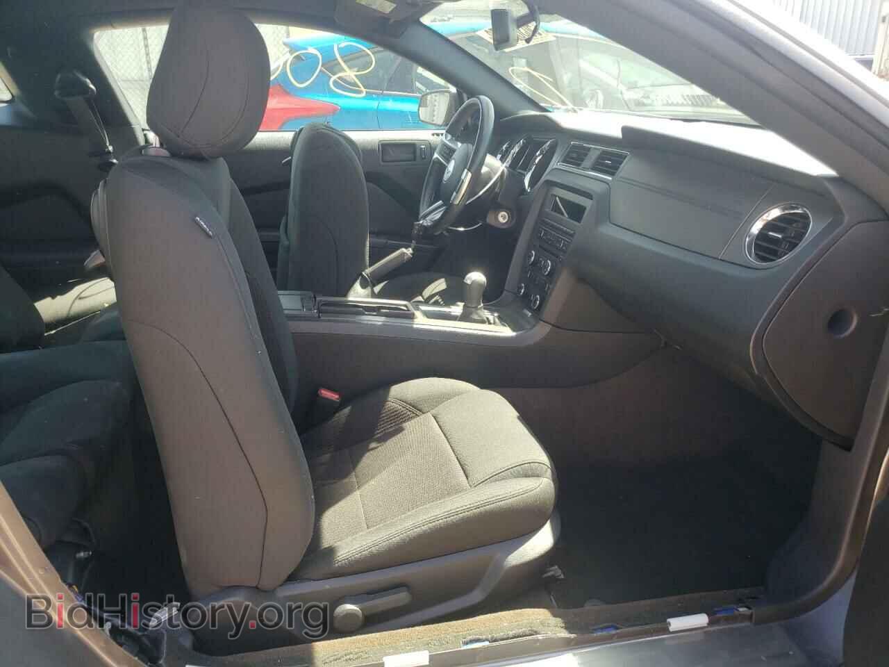 2014 FORD MUSTANG - VIN: 1ZVBP8CF3E5200476 - Фото 5