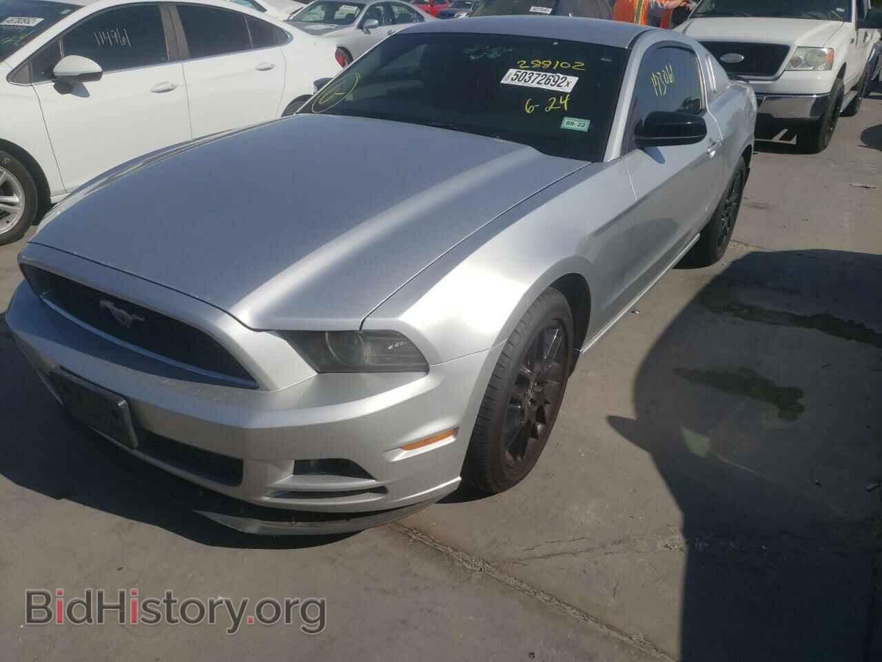 2014 FORD MUSTANG - VIN: 1ZVBP8AM4E5288102 - Фото 2