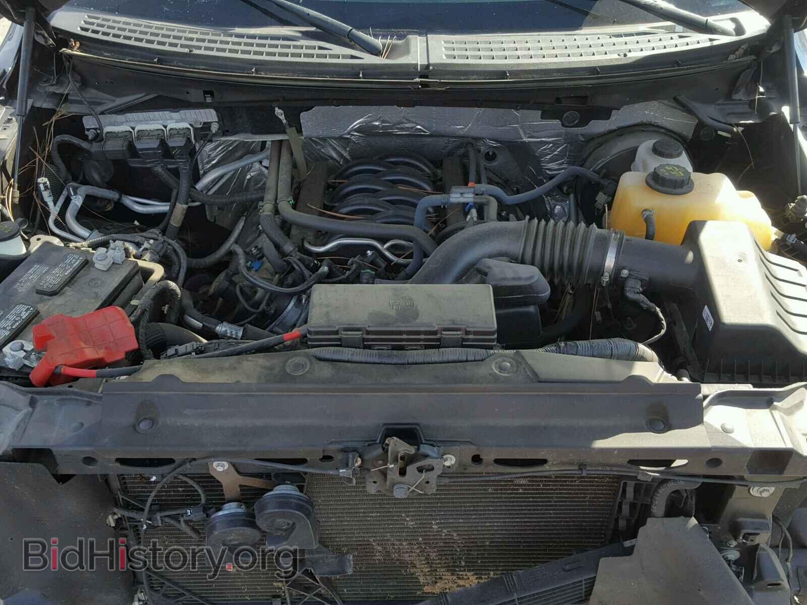 2013 FORD F150 - VIN: 1FTFW1CF7DFD91116 - Фото 7