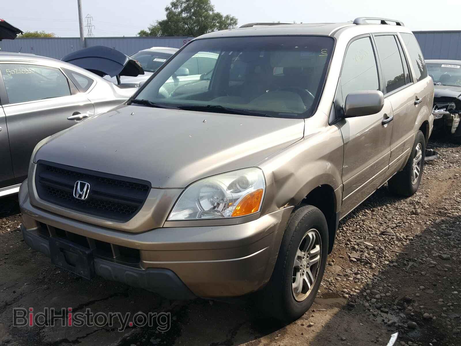 2005 HONDA PILOT - VIN: 5FNYF18535B067577 - Фото 2