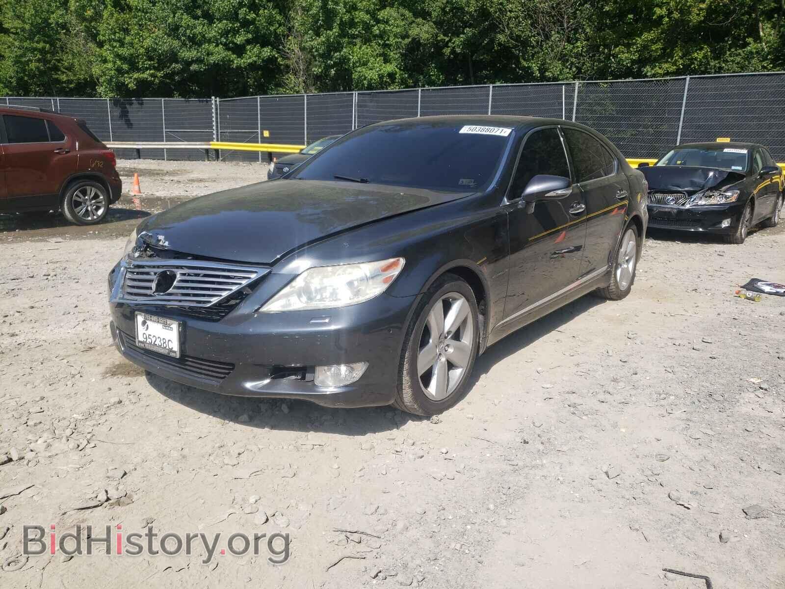 2011 LEXUS LS460 - VIN: JTHBL5EF1B5102776 - Фото 2