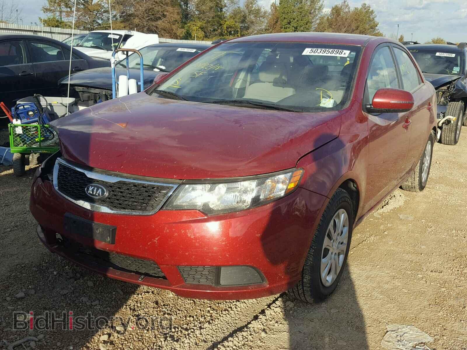 2012 KIA FORTE - VIN: KNAFU4A28C5517511 - Фото 2