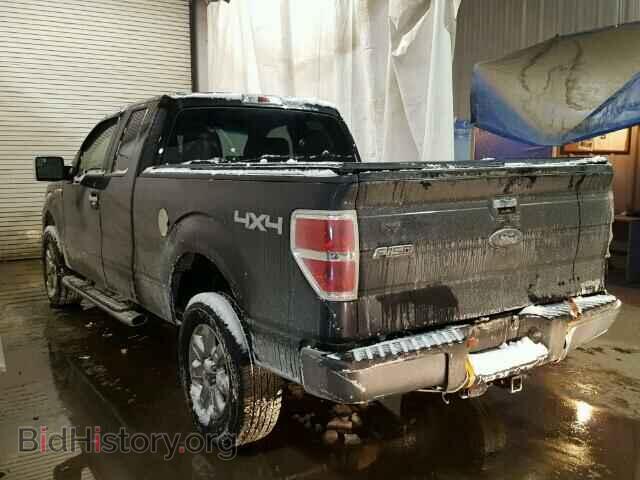 2013 FORD F150 - VIN: 1FTFX1EF7DFB74417 - Фото 3
