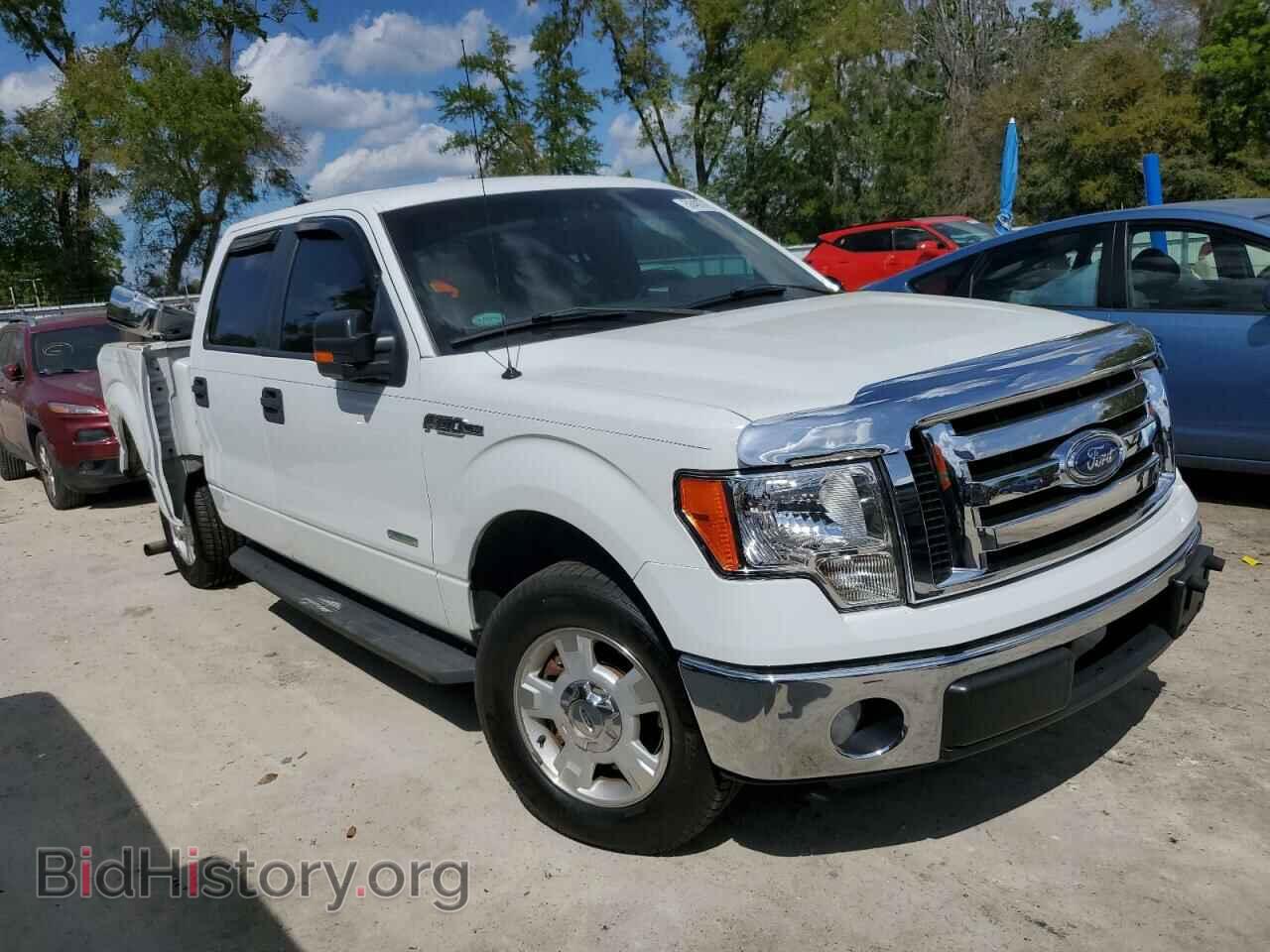 2011 FORD F-150 - VIN: 1FTFW1CT1BFB48145 - Фото 4