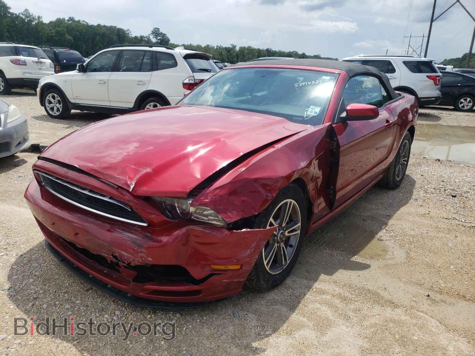 2013 FORD MUSTANG - VIN: 1ZVBP8EM7D5214004 - Фото 2