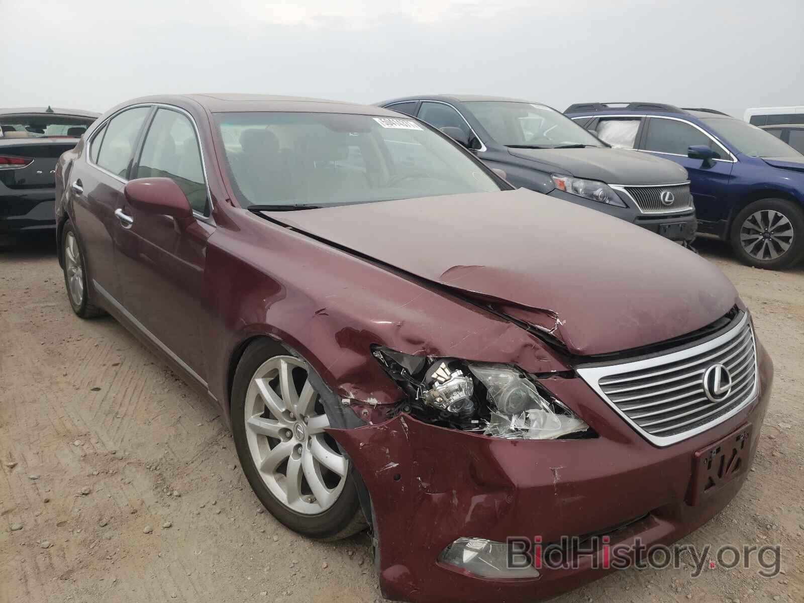 Photo JTHCL46FX95001534 - LEXUS LS460 2009