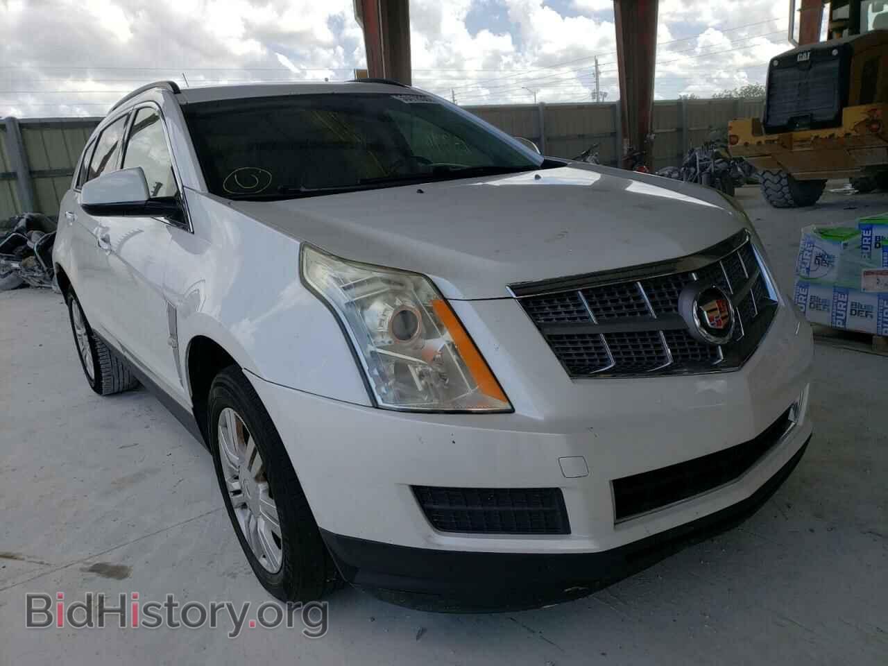 Фотография 3GYFNGEY9BS539631 - CADILLAC SRX 2011