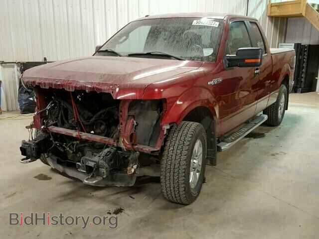 2013 FORD F150 - VIN: 1FTFX1EF8DFB92926 - Фото 2