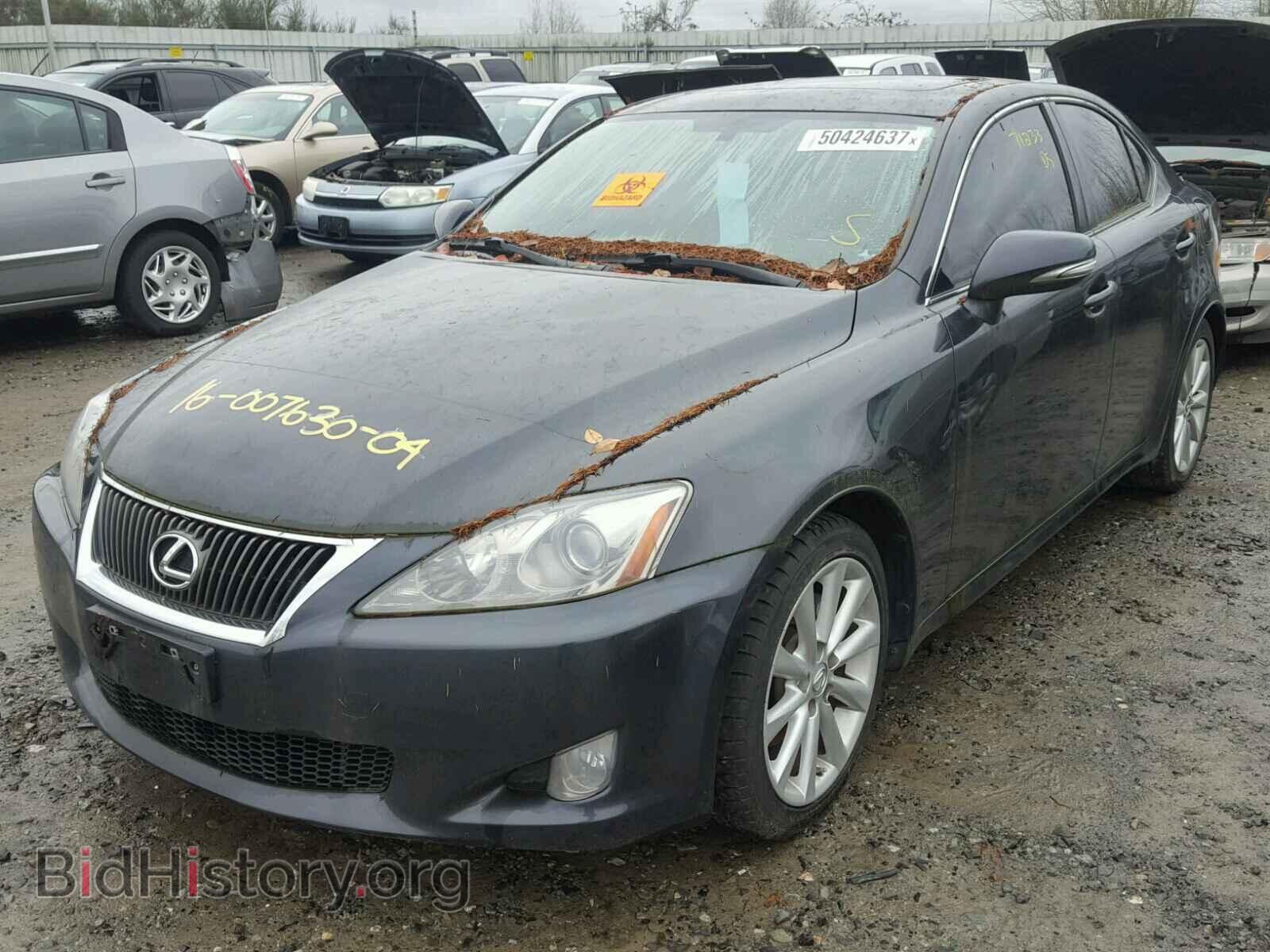 2010 LEXUS IS250 - VIN: JTHBF5C28A5116096 - Photo 2