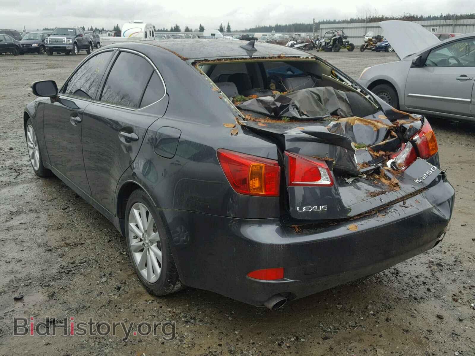 2010 LEXUS IS250 - VIN: JTHBF5C28A5116096 - Photo 3
