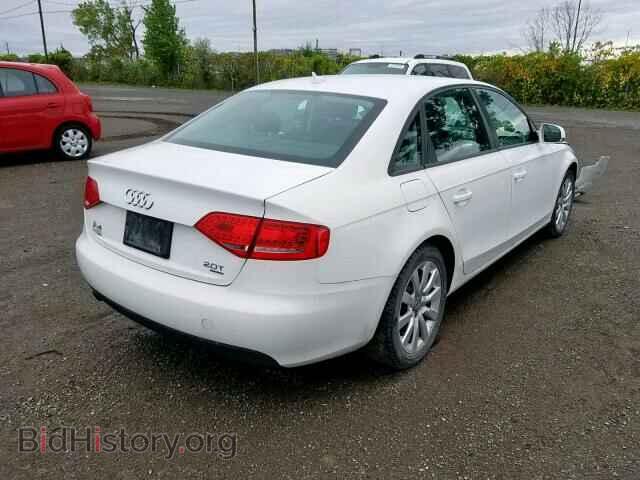 2010 AUDI A4 - VIN: WAUBFCFL8AN050897 - Фото 4