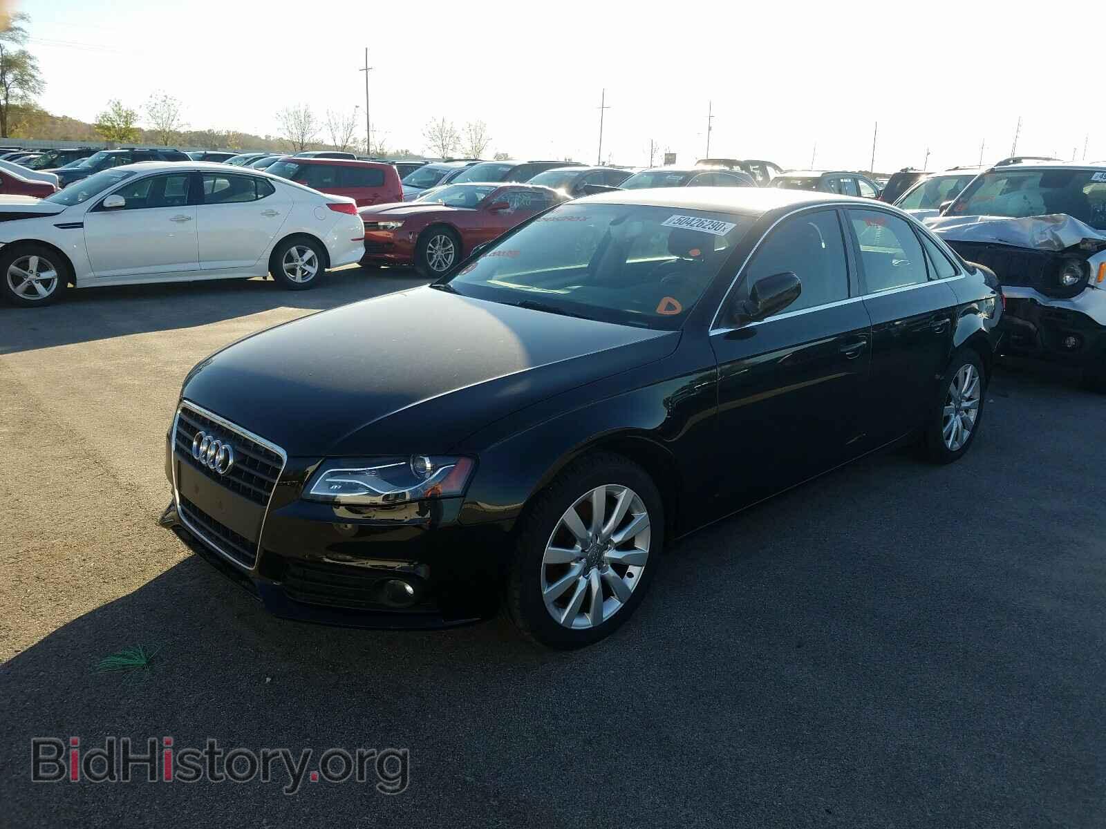 2010 AUDI A4 - VIN: WAUFFBFL8AN020388 - Фото 2