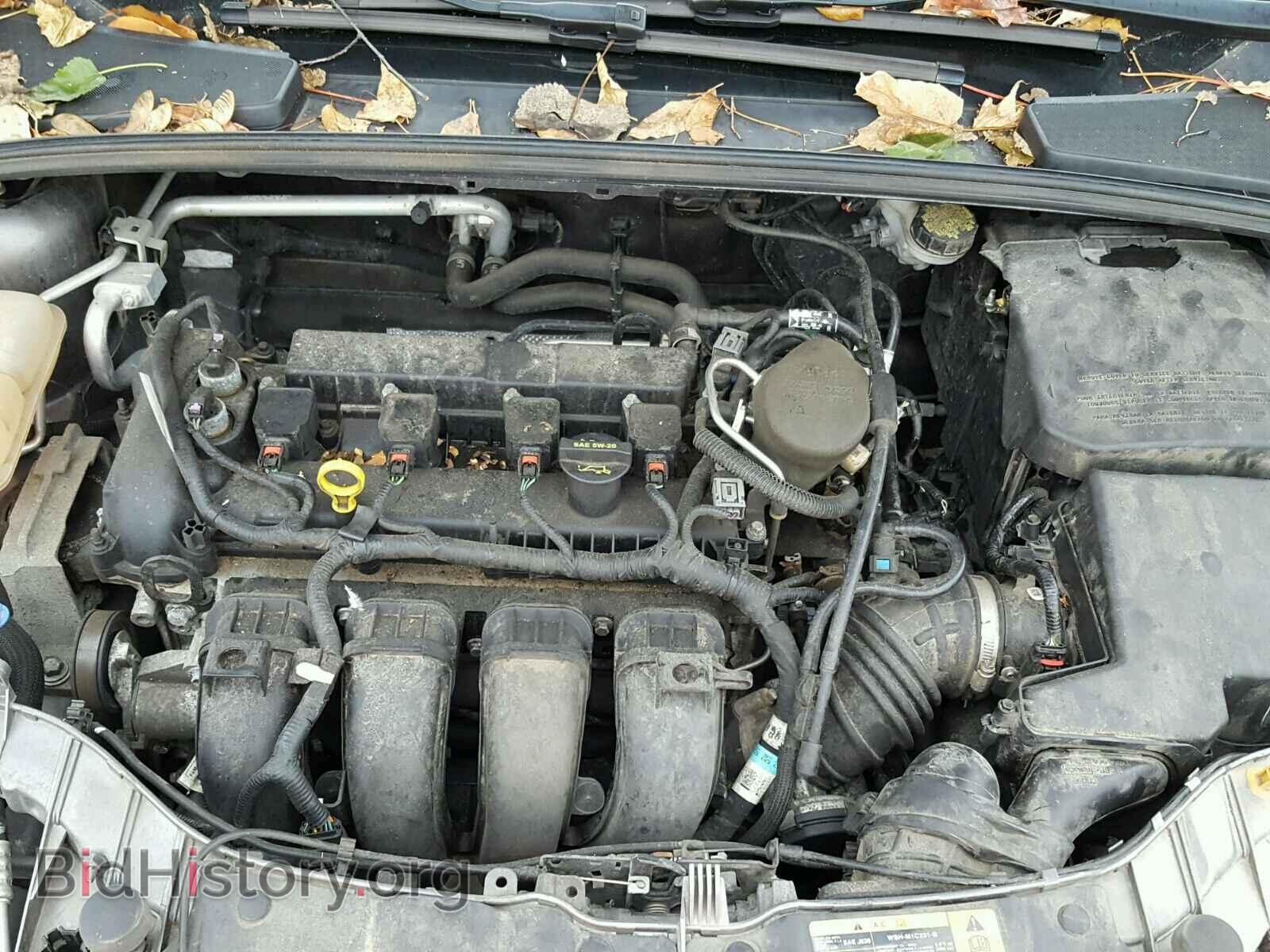 2013 FORD FOCUS - VIN: 1FADP3F2XDL353850 - Фото 7