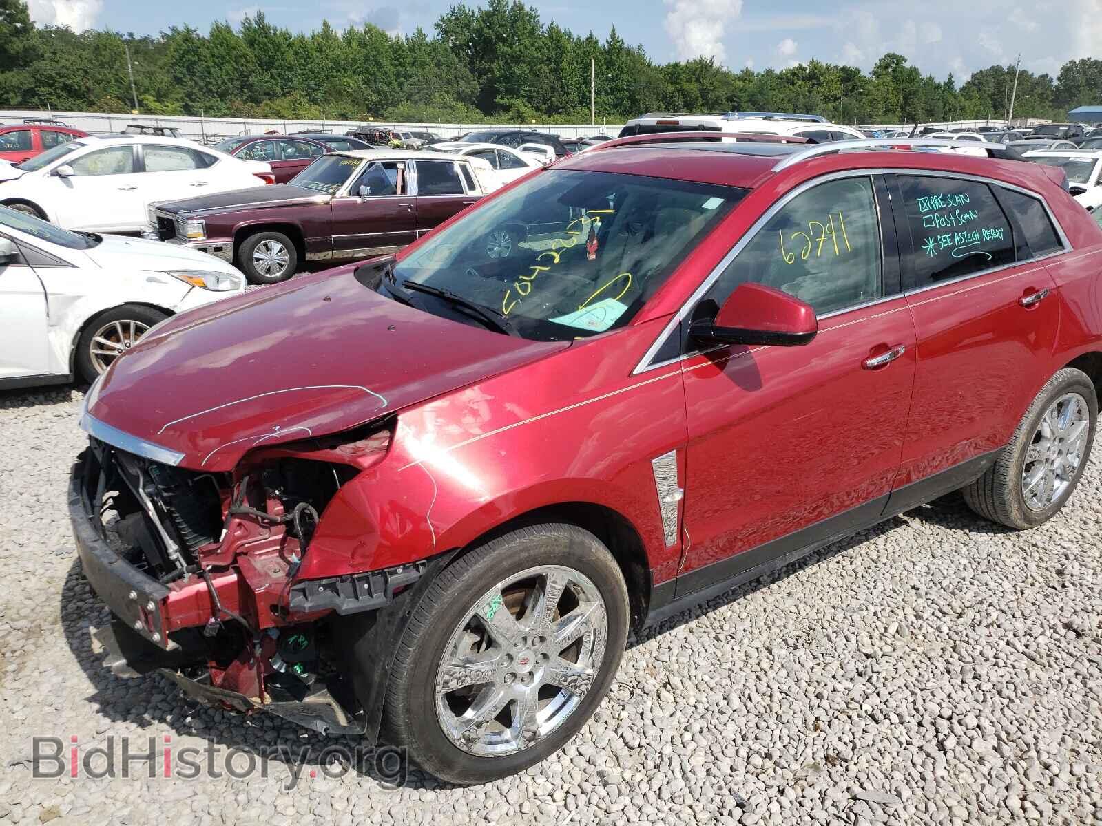 2011 CADILLAC SRX - VIN: 3GYFNBEY7BS538724 - Фото 2