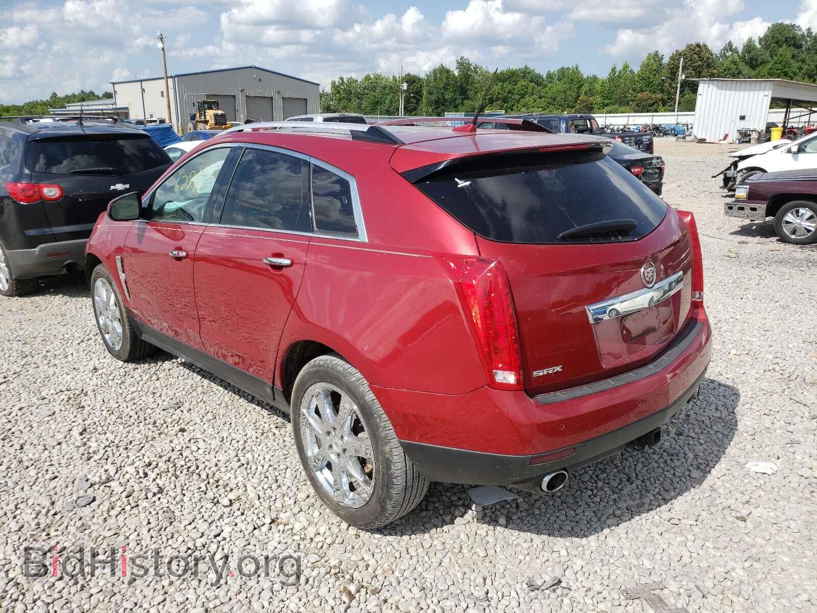 2011 CADILLAC SRX - VIN: 3GYFNBEY7BS538724 - Фото 3