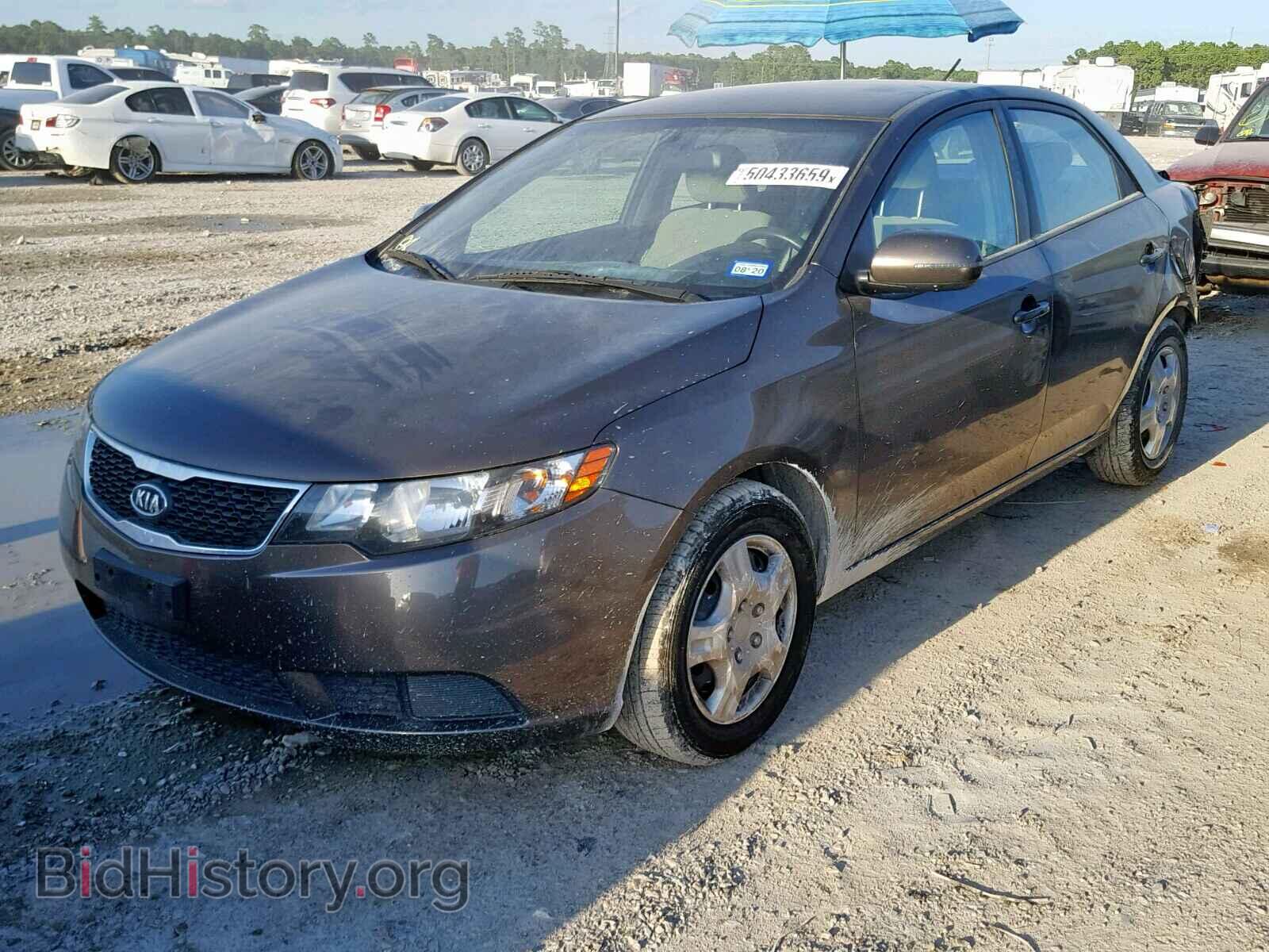 2013 KIA FORTE EX - VIN: KNAFU4A27D5733061 - Фото 2