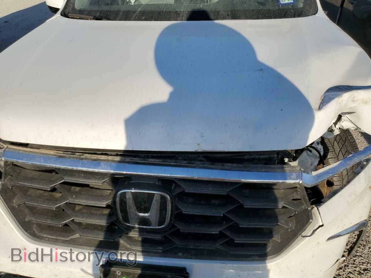 2023 HONDA PILOT - VIN: 5FNYG2H41PB008086 - Фото 12