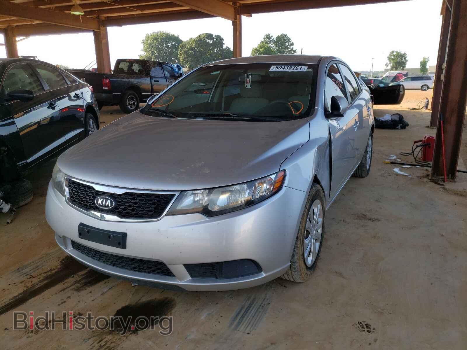2012 KIA FORTE - VIN: KNAFU4A29C5631923 - Фото 2