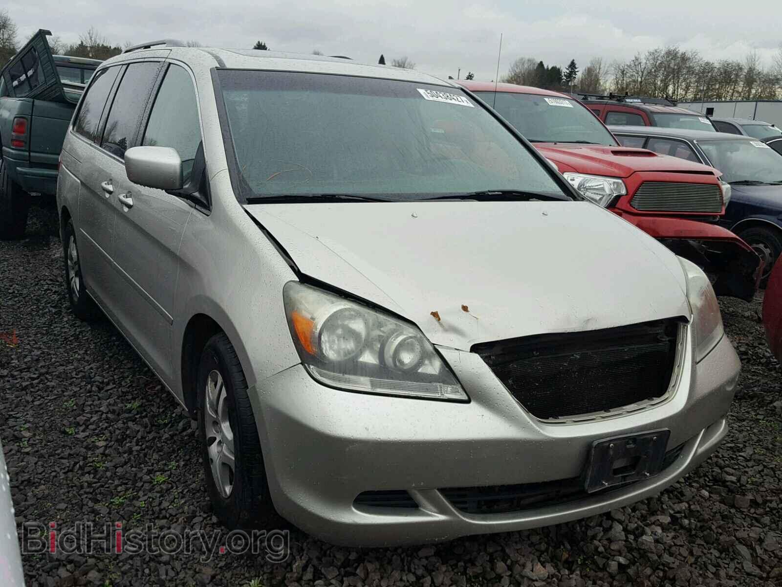 Фотография 5FNRL38655B042911 - HONDA ODYSSEY 2005