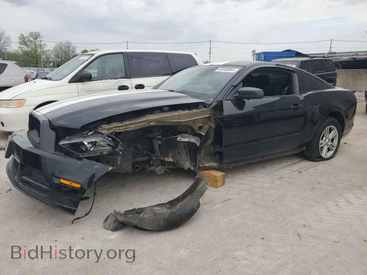 Photo 1ZVBP8AM9D5276106 - FORD ALL Models 2013