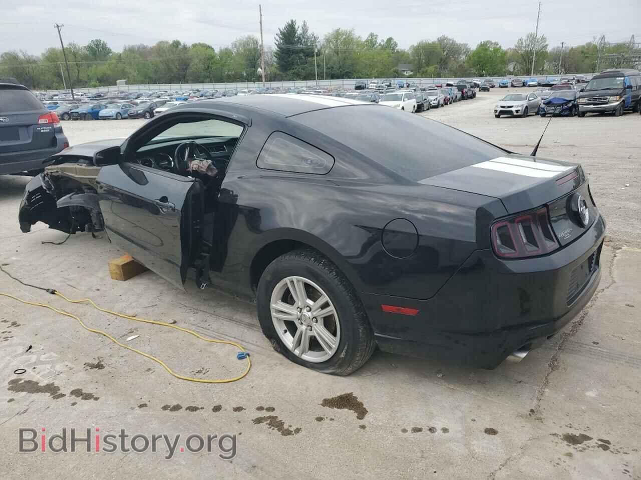 2013 FORD ALL Models - VIN: 1ZVBP8AM9D5276106 - Фото 2
