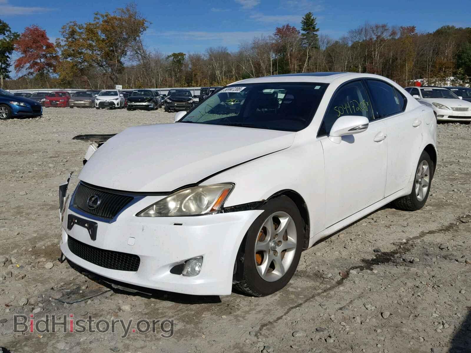 2009 LEXUS IS 250 - VIN: JTHCK262792031760 - Фото 2