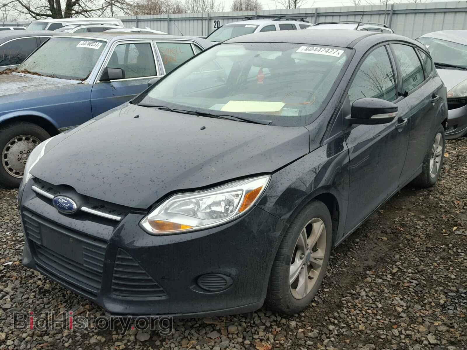 2013 FORD FOCUS - VIN: 1FADP3K21DL339177 - Фото 2