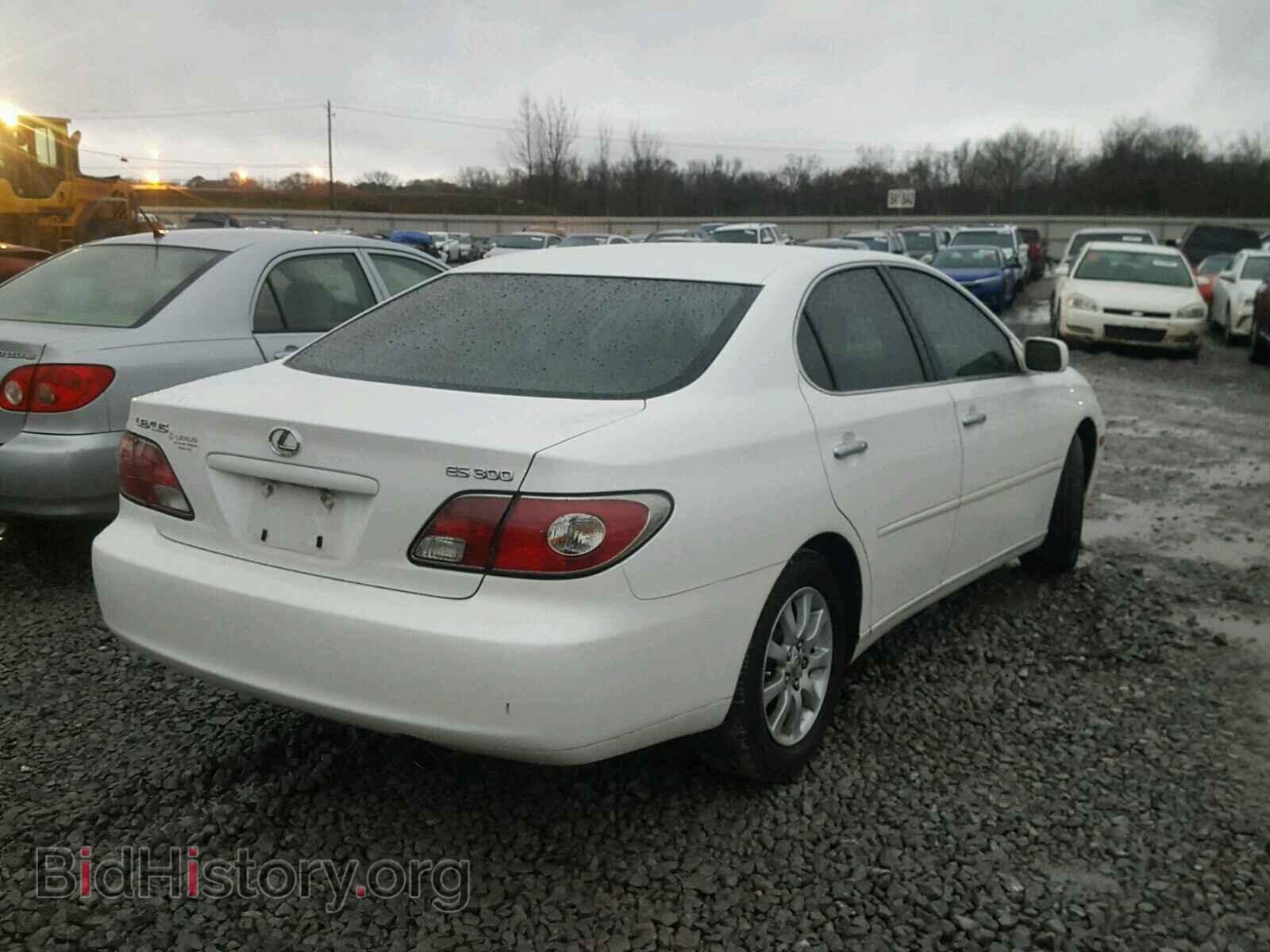2002 LEXUS ES300 - VIN: JTHBF30G320030987 - Фото 4