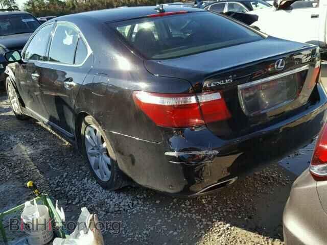 2009 LEXUS LS460 - VIN: JTHBL46FX95084992 - Фото 3