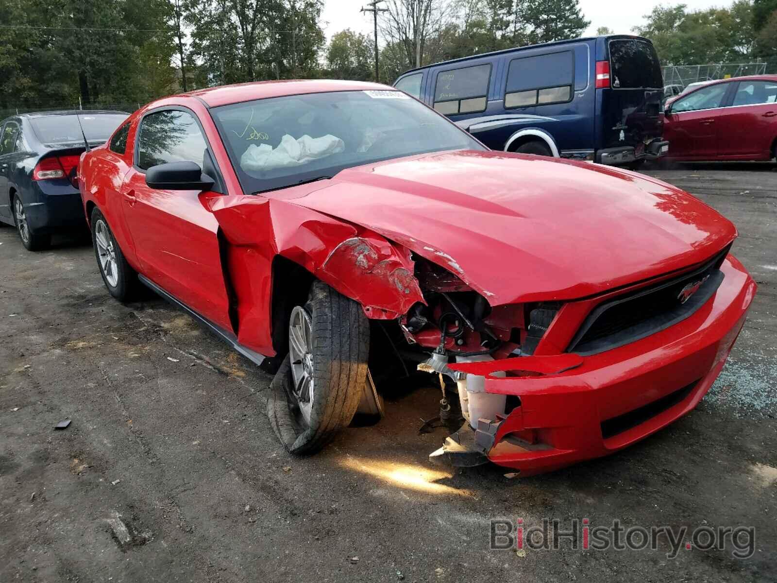 Фотография 1ZVBP8AM7C5273509 - FORD MUSTANG 2012