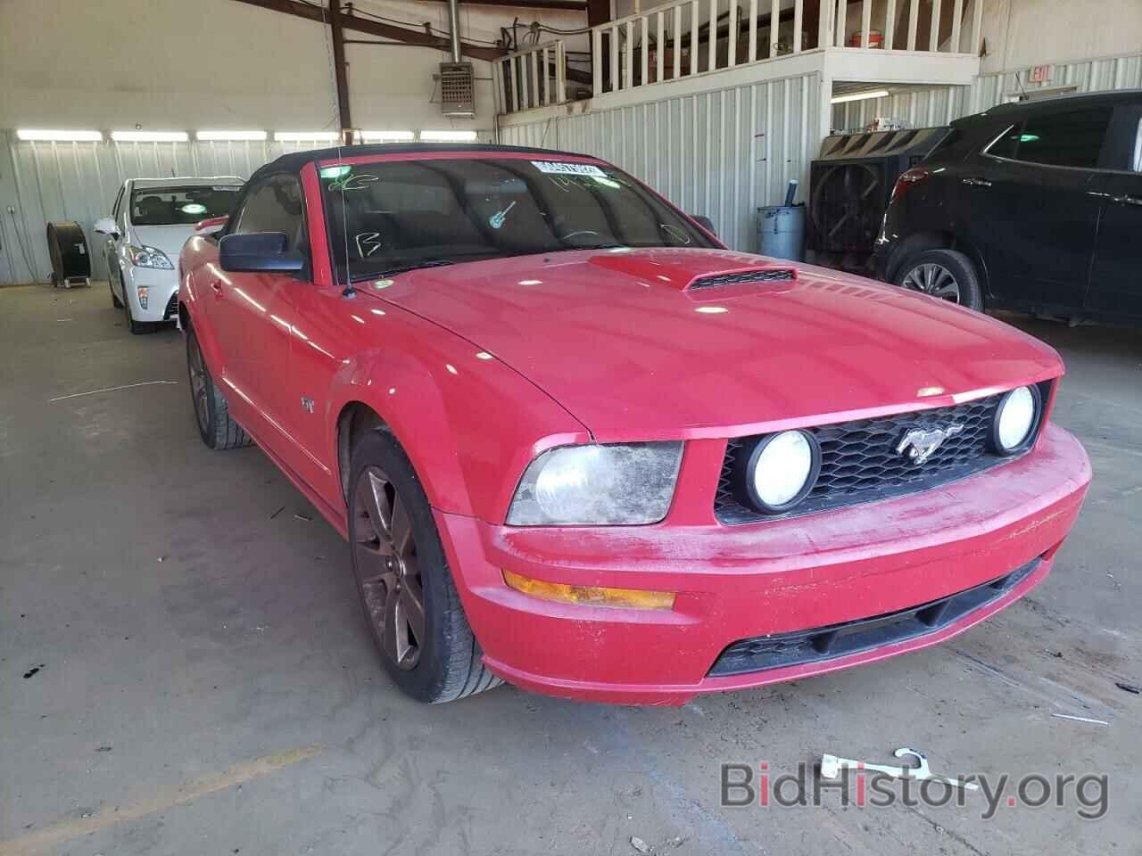 Photo 1ZVHT85H385142748 - FORD MUSTANG 2008