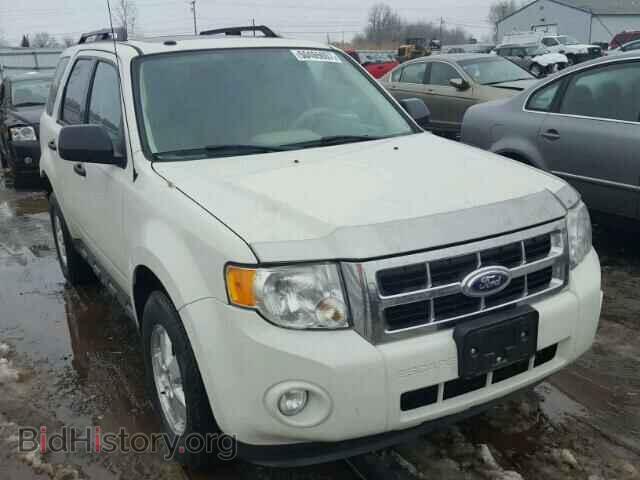 Фотография 1FMCU0DG6BKB02172 - FORD ESCAPE 2011
