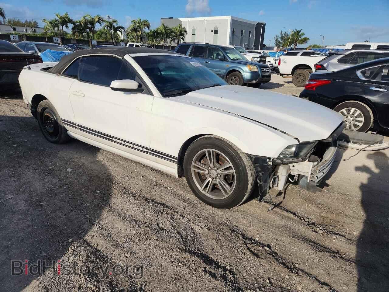 2013 FORD MUSTANG - VIN: 1ZVBP8EM2D5204805 - Фото 4