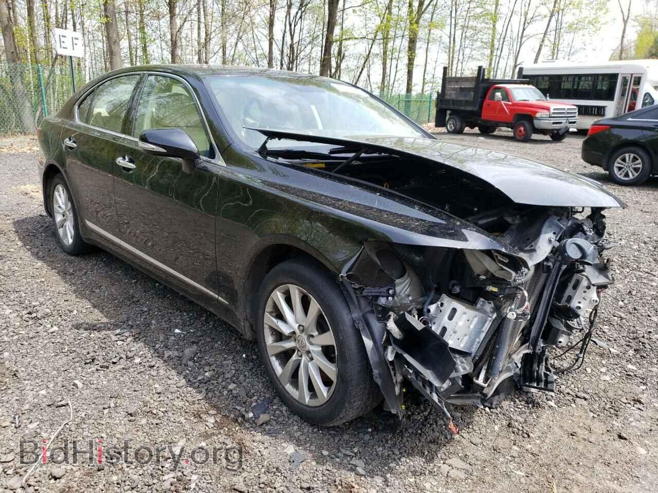2011 LEXUS LS460 - VIN: JTHCL5EF0B5010241 - Photo 4