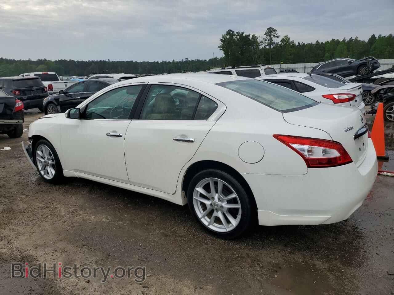 2009 NISSAN MAXIMA - VIN: 1N4AA51E99C830910 - Фото 2
