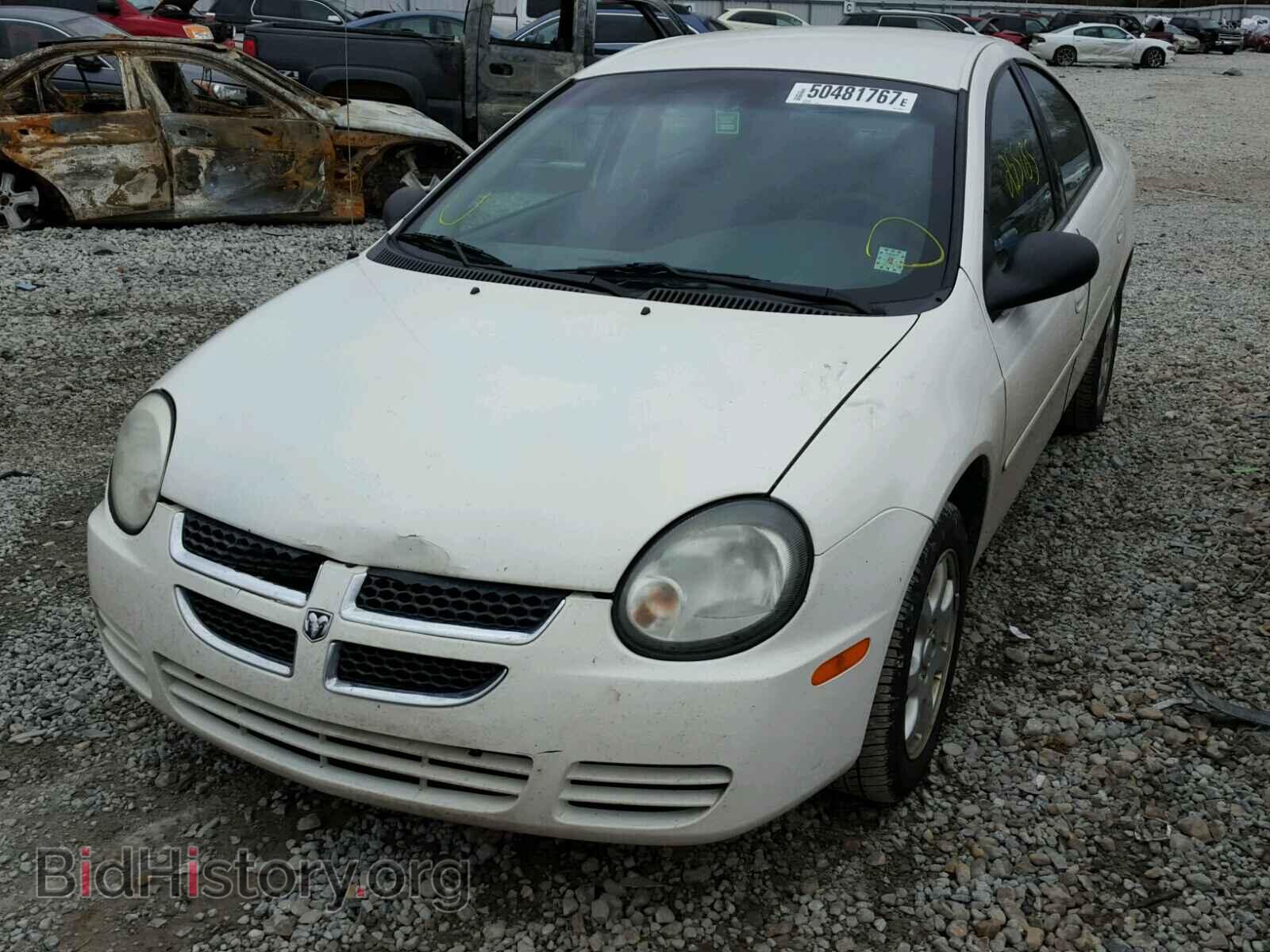 2005 DODGE NEON - VIN: 1B3ES56C95D163536 - Фото 2