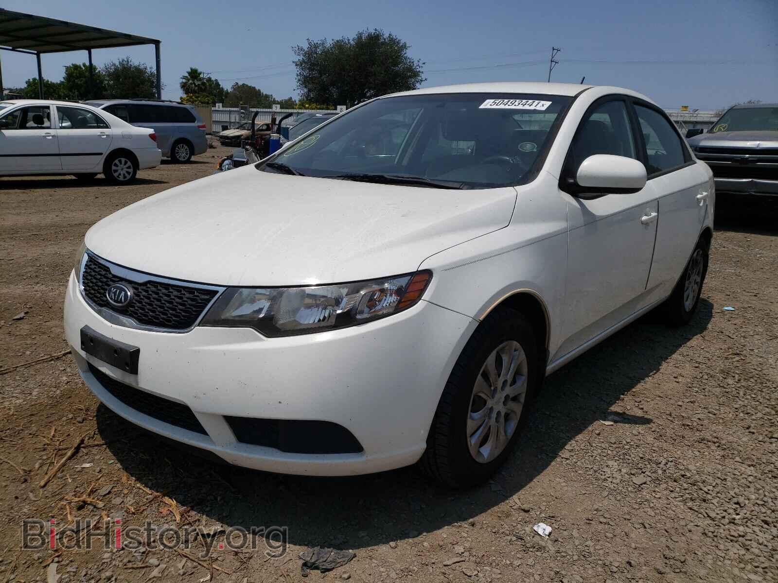 2013 KIA FORTE - VIN: KNAFT4A23D5677705 - Фото 2