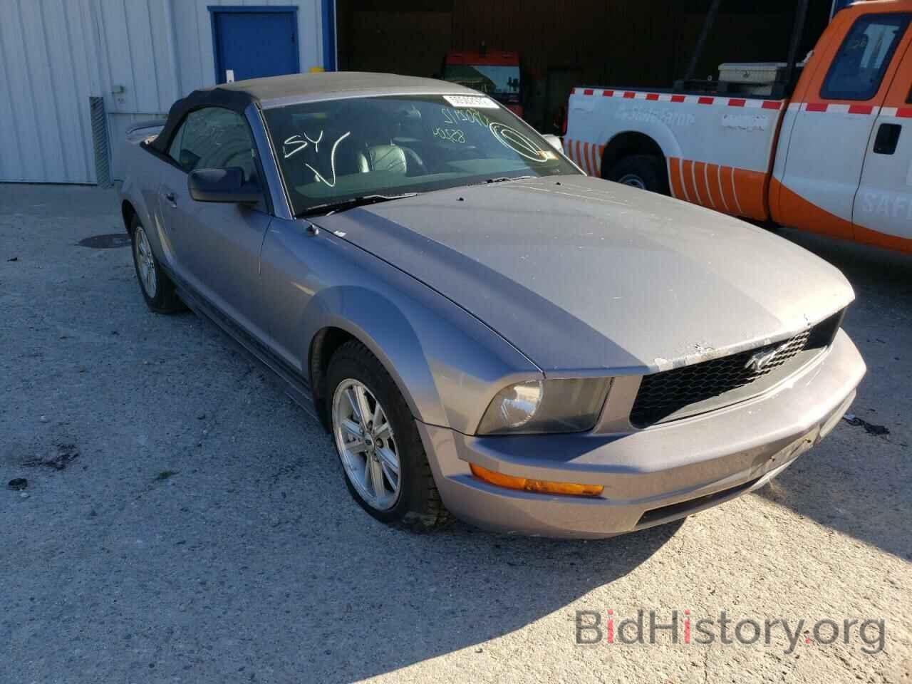Photo 1ZVFT84N465184650 - FORD MUSTANG 2006