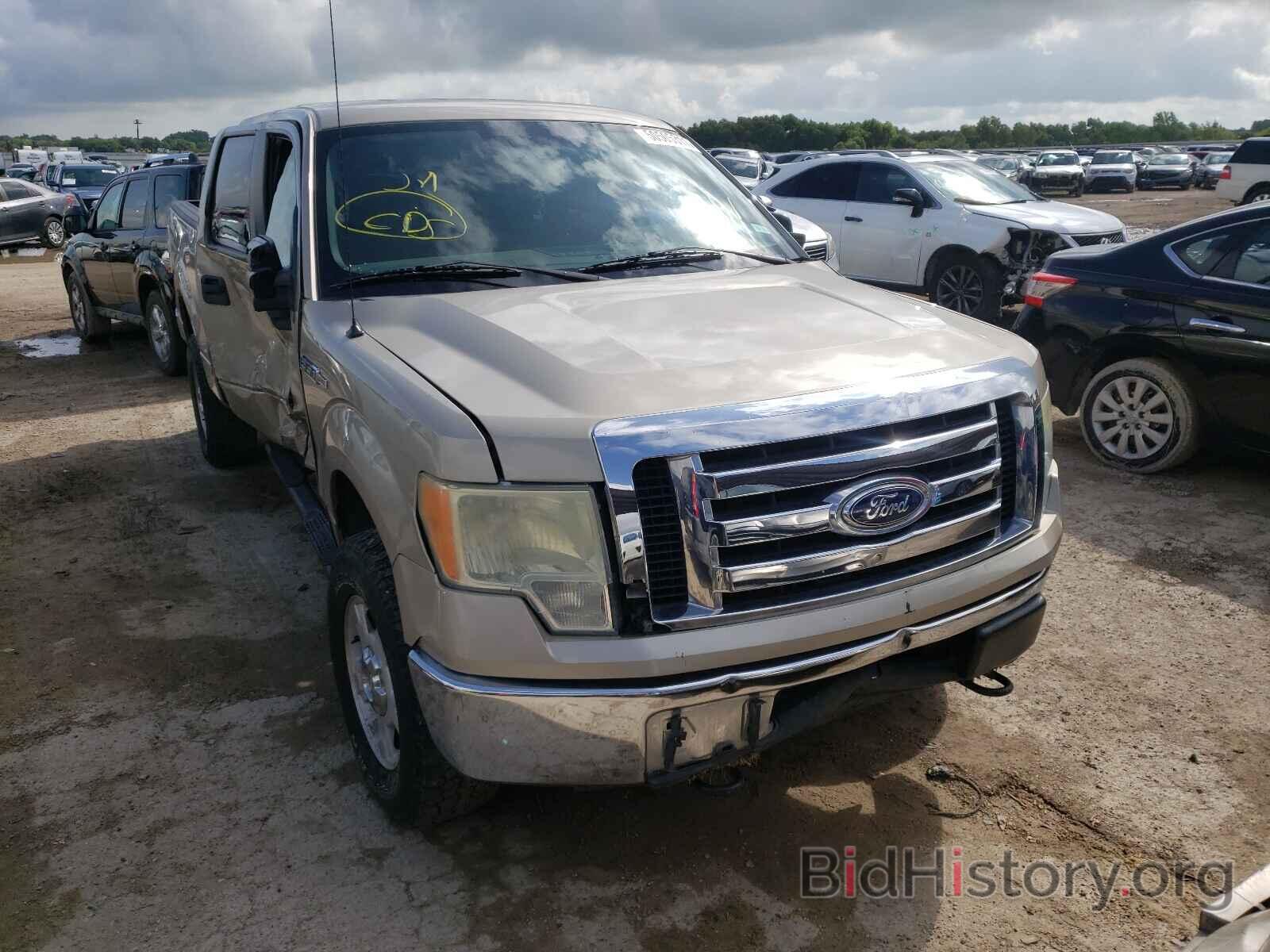 Photo 1FTEW1E89AFB34206 - FORD F-150 2010