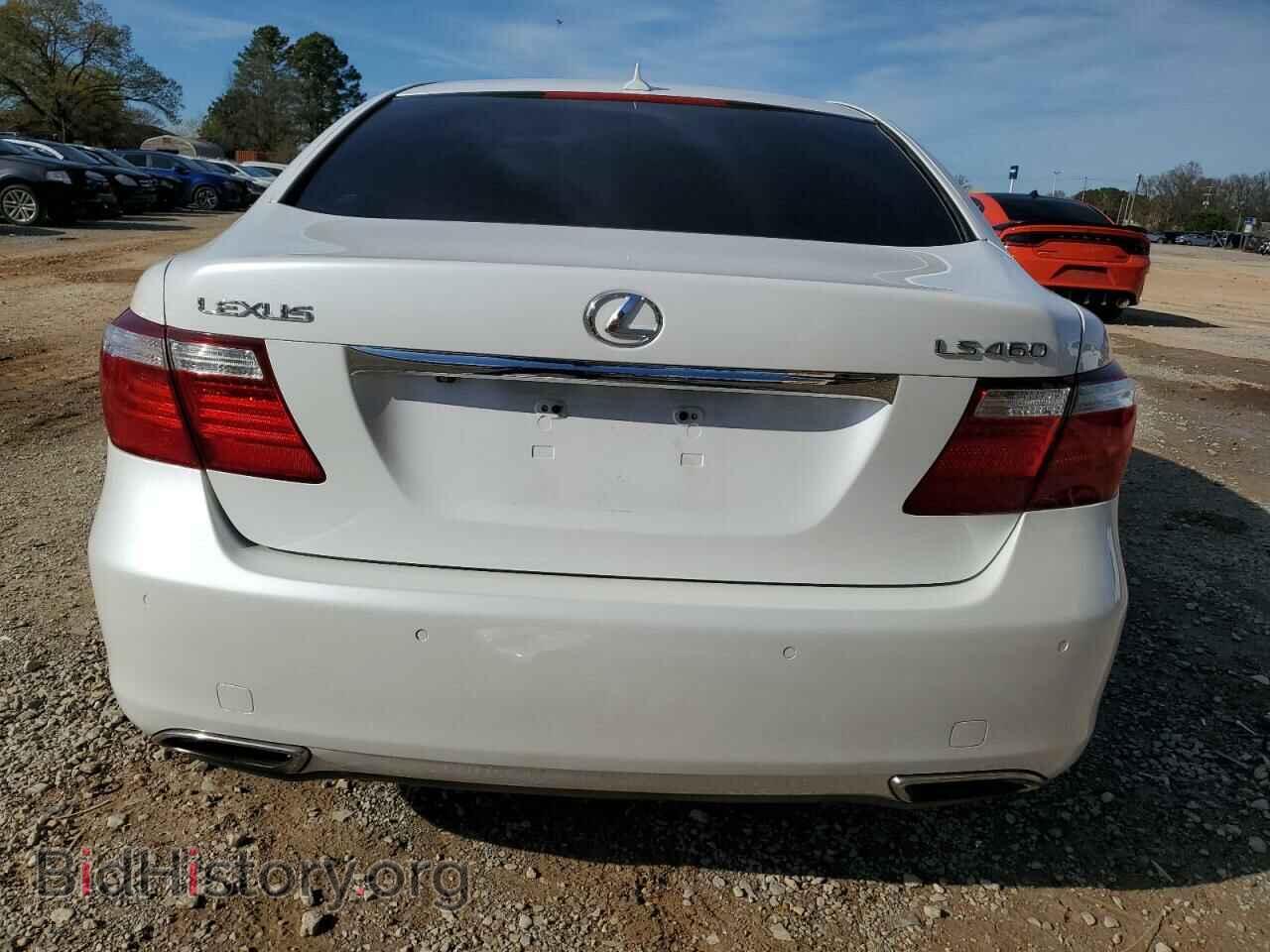 2009 LEXUS LS460 - VIN: JTHBL46F995086717 - Фото 6