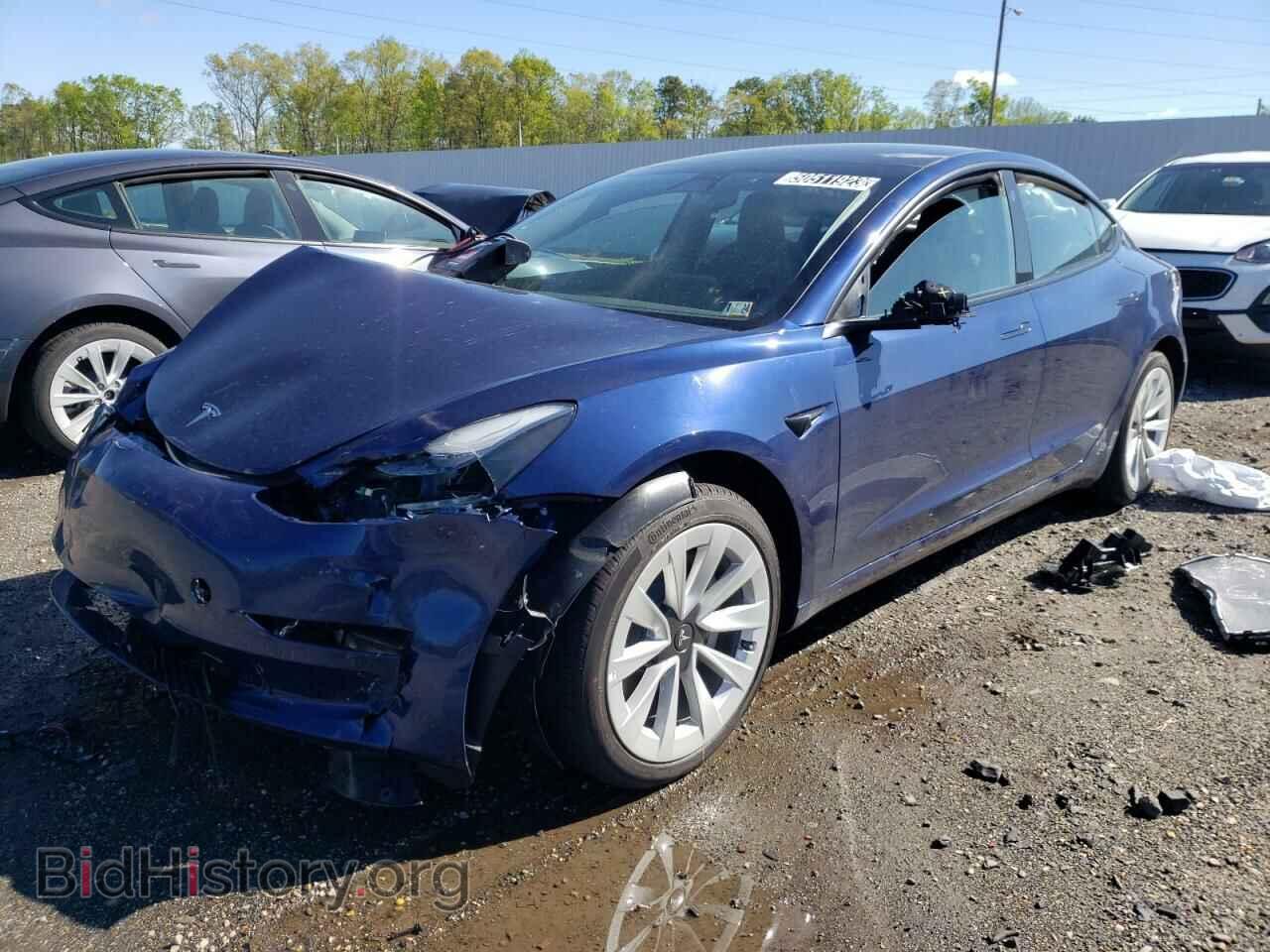 Photo 5YJ3E1EAXPF446920 - TESLA MODEL 3 2023