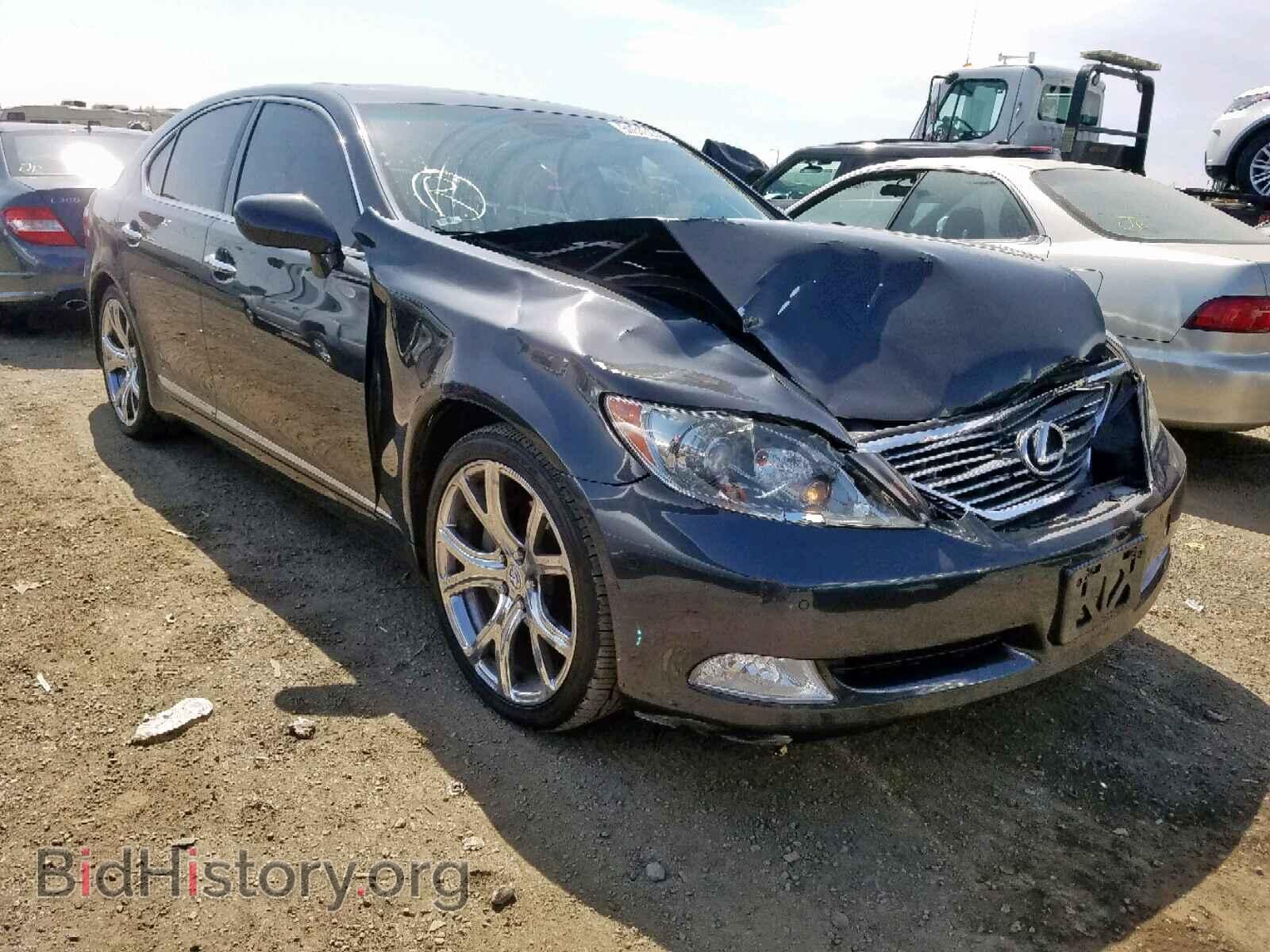 Фотография JTHBL46F095088842 - LEXUS LS460 2009