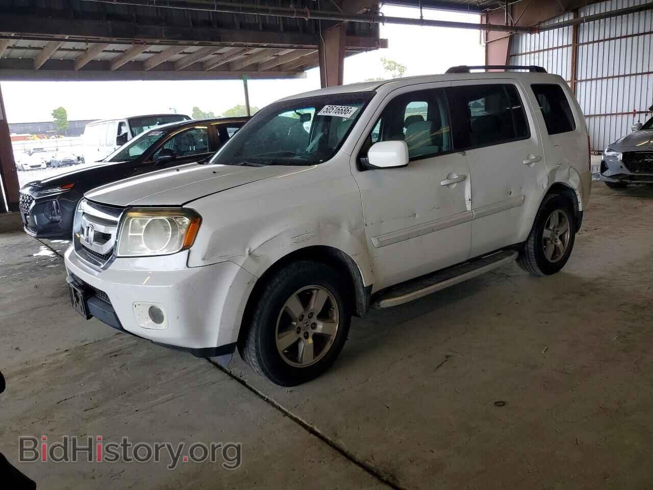 Фотография 5FNYF3H41BB010843 - HONDA PILOT 2011