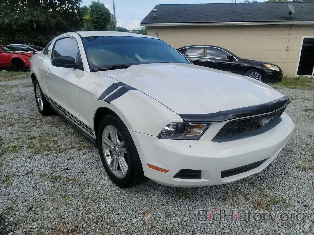 Photo 1ZVBP8AN7A5137600 - FORD MUSTANG 2010