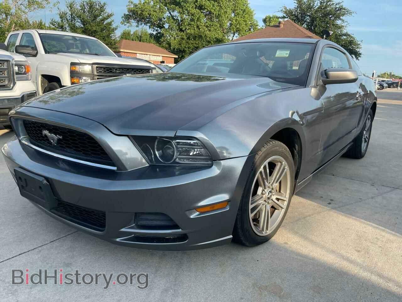 2013 FORD MUSTANG - VIN: 1ZVBP8AM3D5227533 - Фото 2