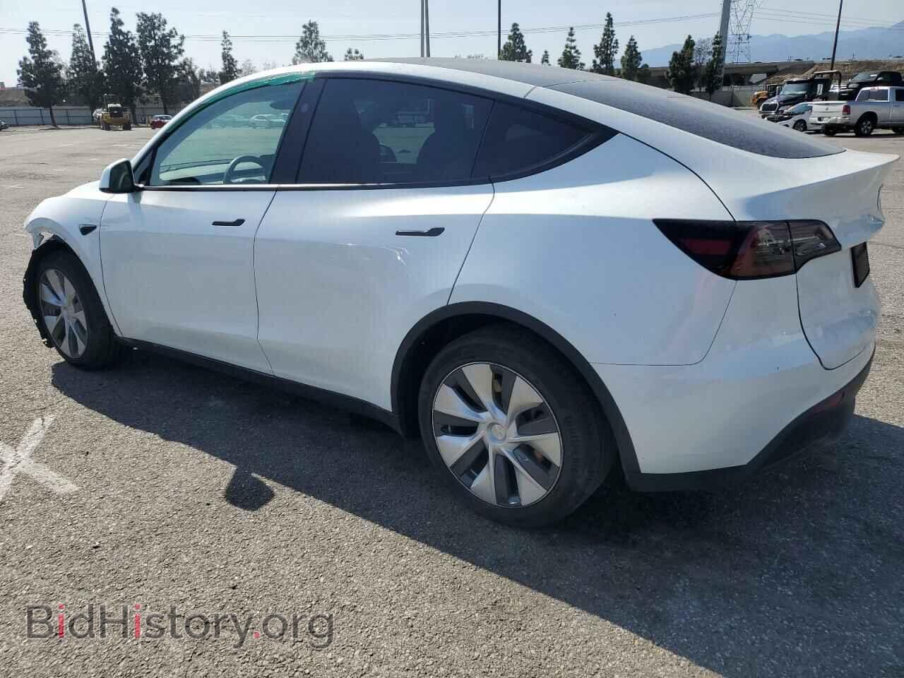 2024 TESLA MODEL Y - VIN: 7SAYGDED1RF002570 - Фото 2