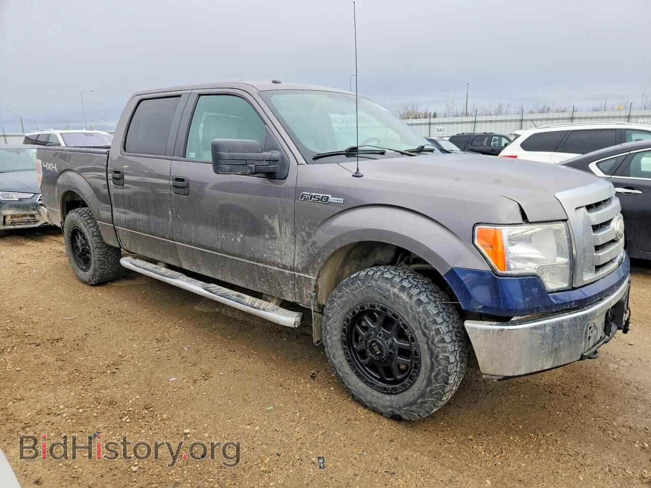 2010 FORD F150 - VIN: 1FTEW1E82AFC41033 - Фото 4