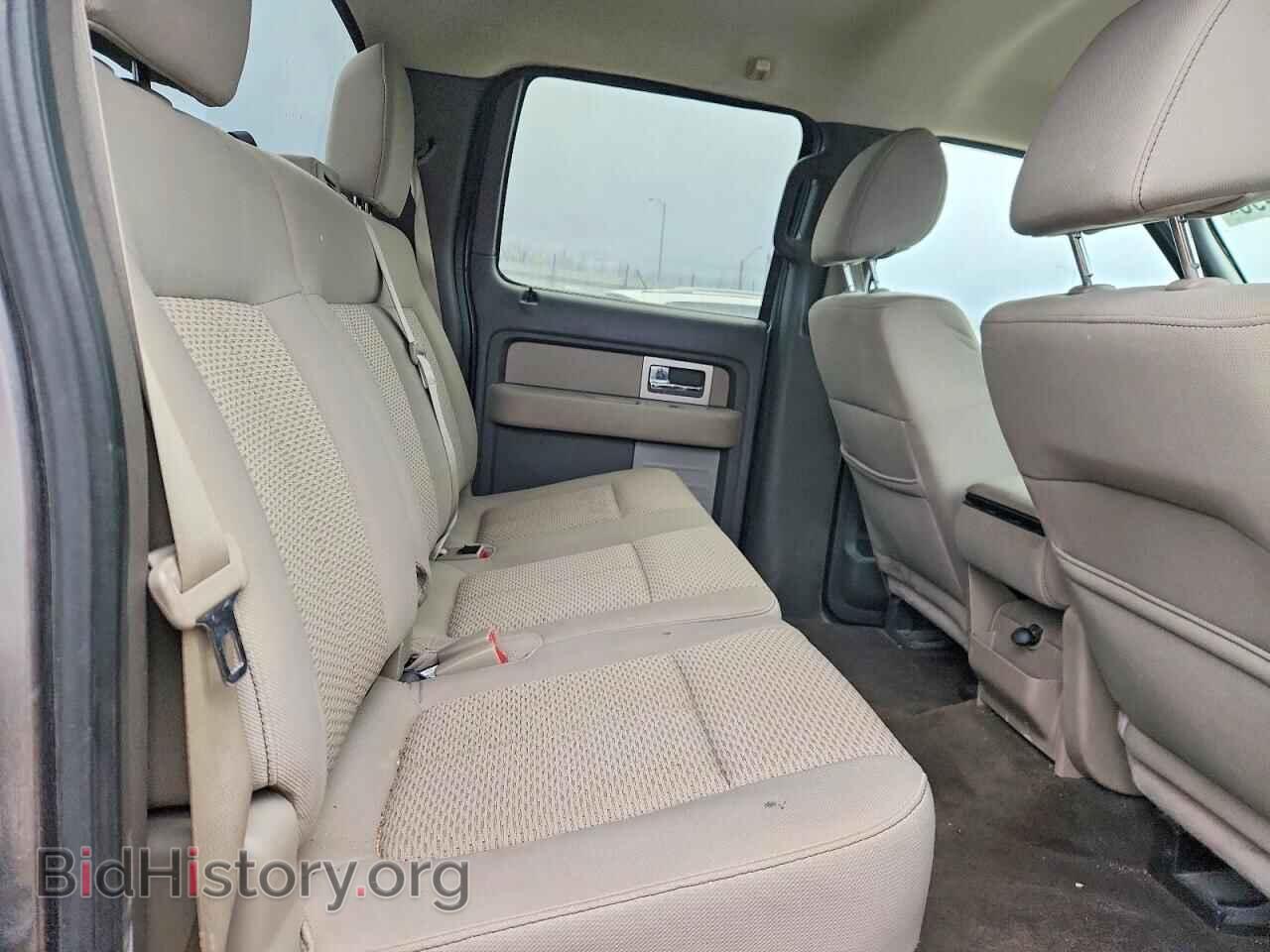 2010 FORD F150 - VIN: 1FTEW1E82AFC41033 - Фото 10