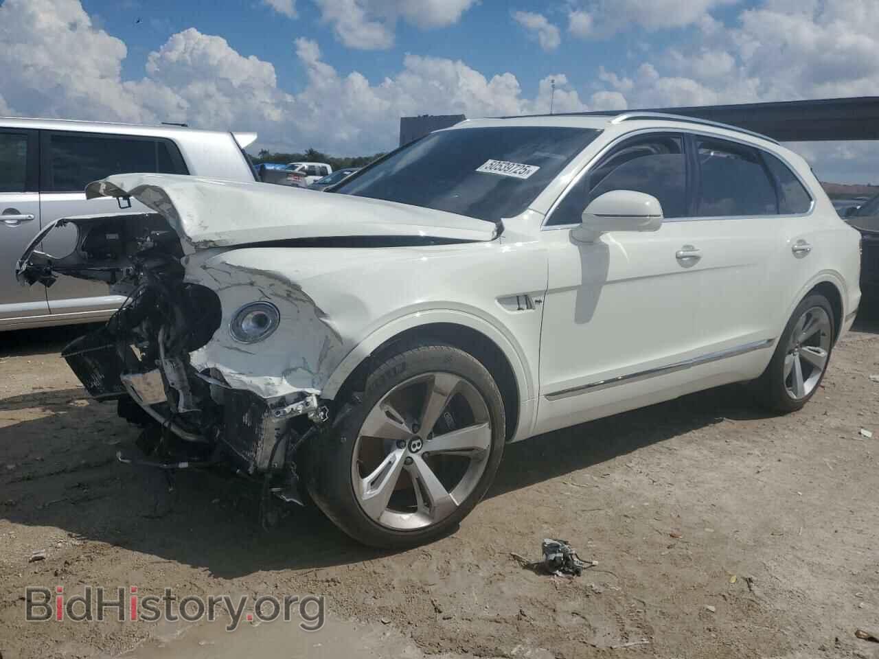 Фотография SJAAM2ZV0KC024174 - BENTLEY ALL MODELS 2019
