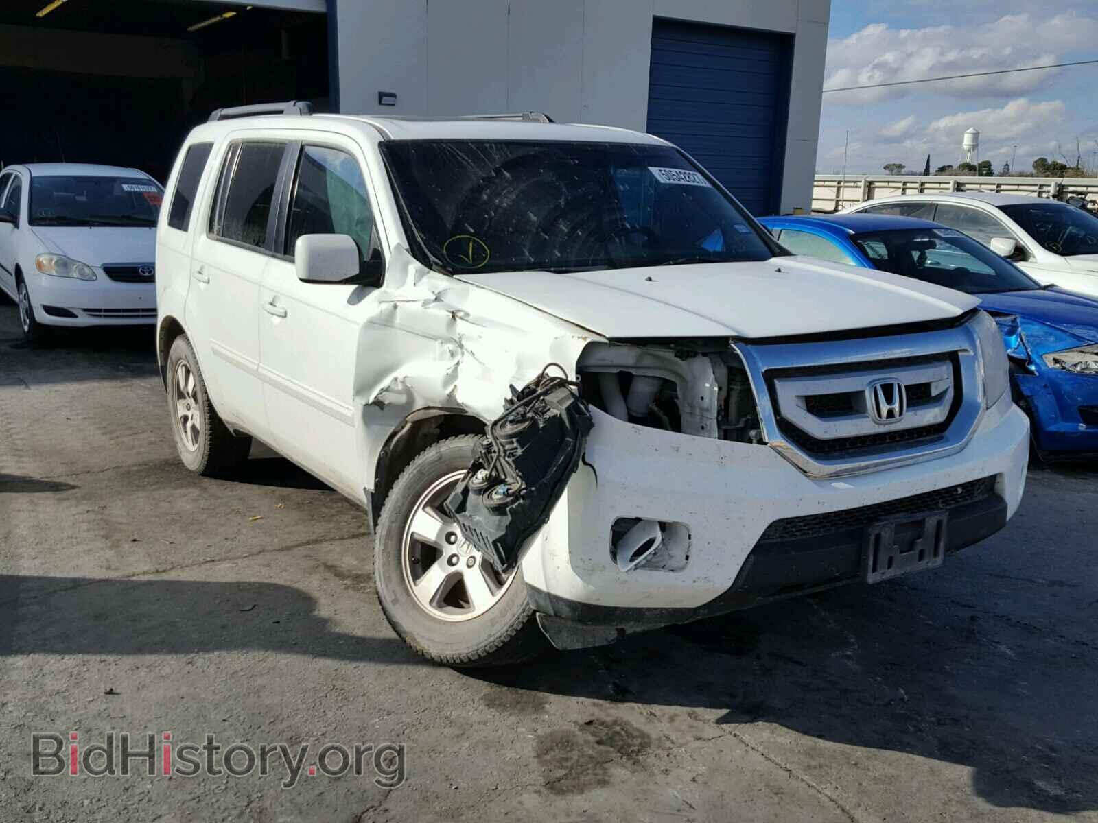 Фотография 5FNYF3H57BB058470 - HONDA PILOT 2011
